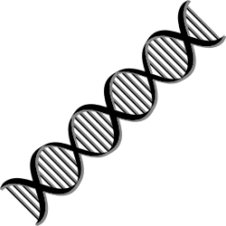 DNA-Helix-Variation