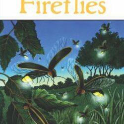 Fireflies book cover