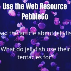 Use the web resource pebblego. Read the article about jellyfish. What do jellyfish use their tentacles for?