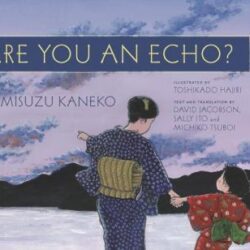 Are You An Echo? book cover