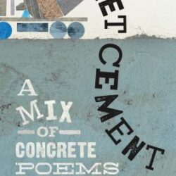 Wet Cement book cover