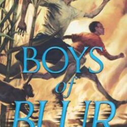 Boys of Blur book cover