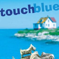 Touch Blue book cover
