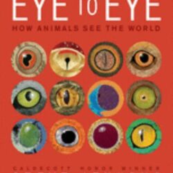 Eye to Eye book cover