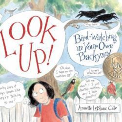 Look Up: Bird-watching in your own backyard book cover