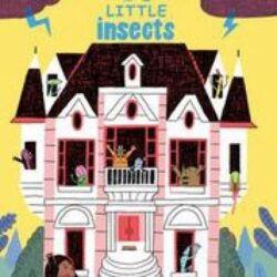 Little Insects book cover