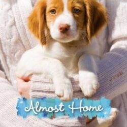 Almost Home book cover