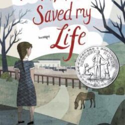The War that Saved My Life book cover