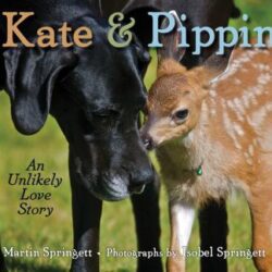 Kate and Pippin book cover