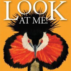 Look at Me: How to Attract Attention in the Animal World book cover