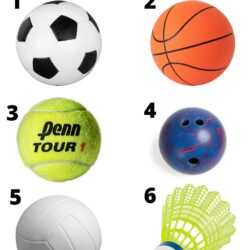 Name the sport.