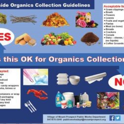 curbside organics collection guidelines