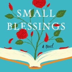 Small Blessings book cover