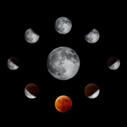 the moon in different phases of eclipse