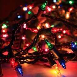 bundle of Christmas lights