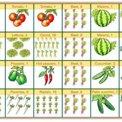 garden chart