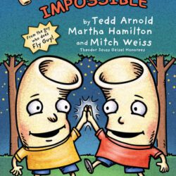 noodleheads do the impossible book cover