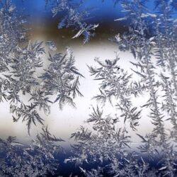 clear frozen snowflakes