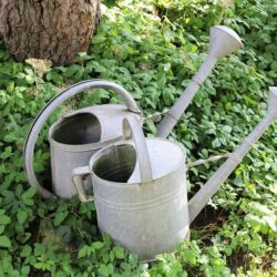 watering cans