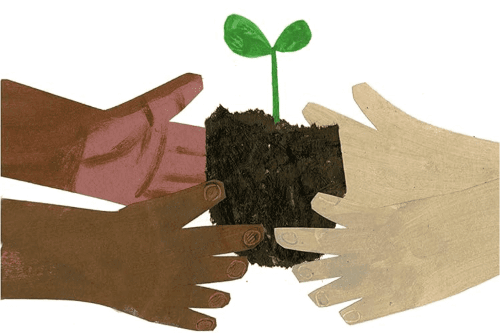 Two pairs of hands holding a seedling between them. Illustration.